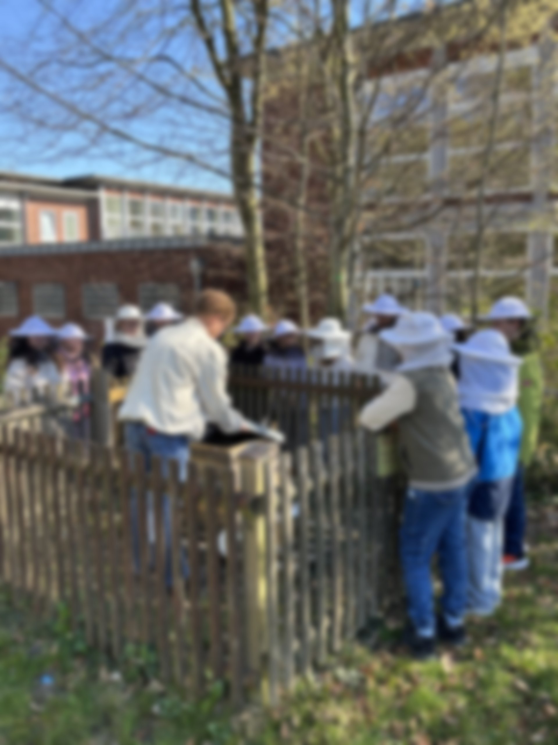 Projekttag Bienen